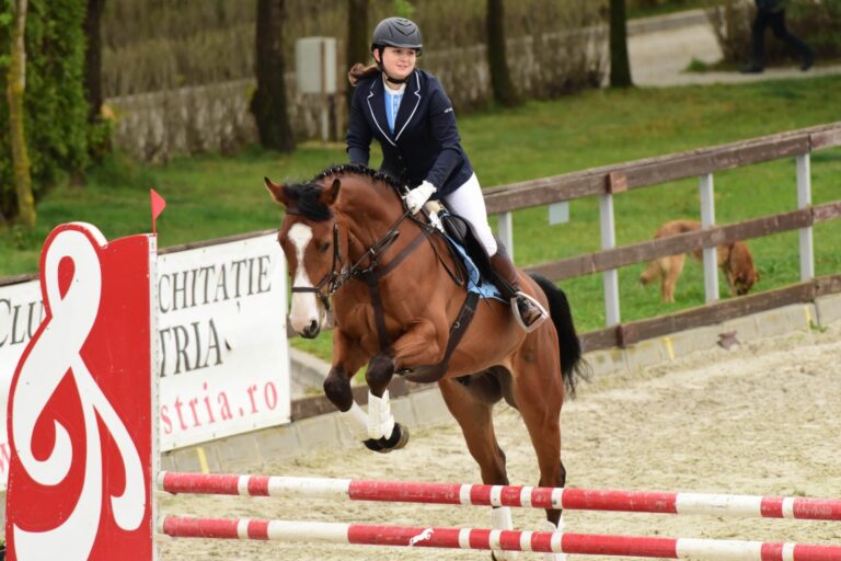 82276713_2829646370425706_8014475443249872896_o