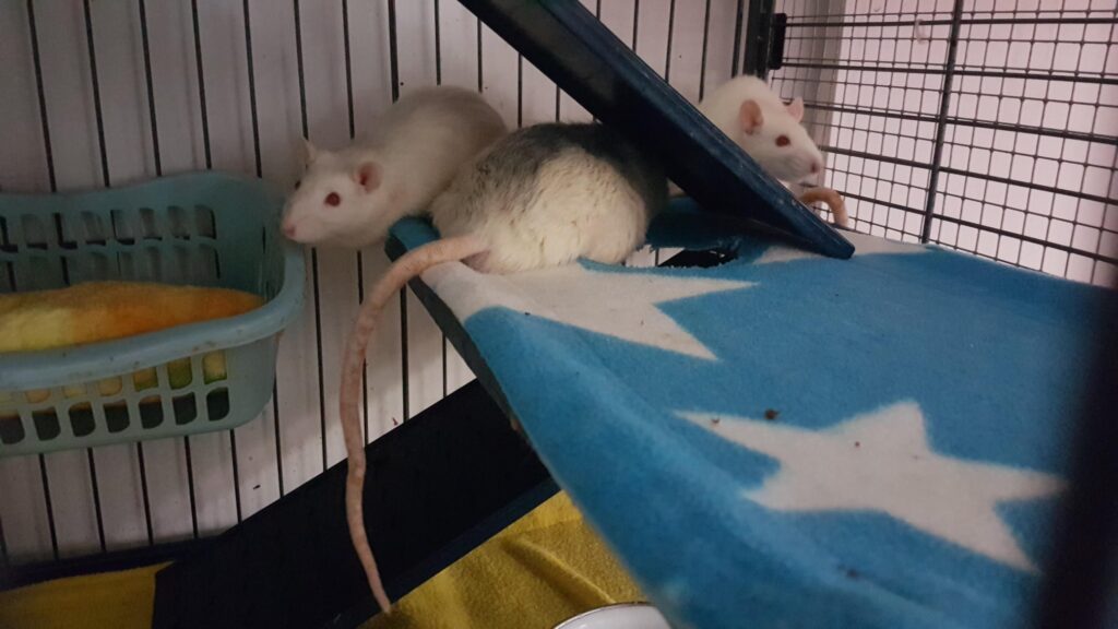 270045102_4873812729342383_7731503669394291431_n