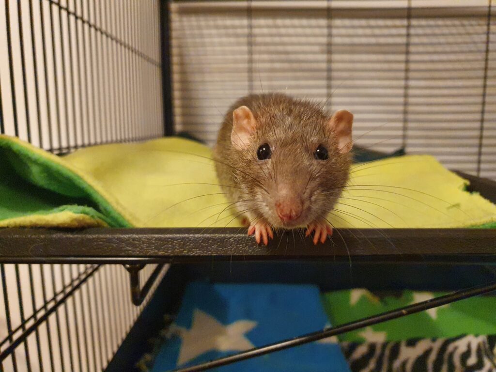 270145619_4873812019342454_7539960359313368384_n