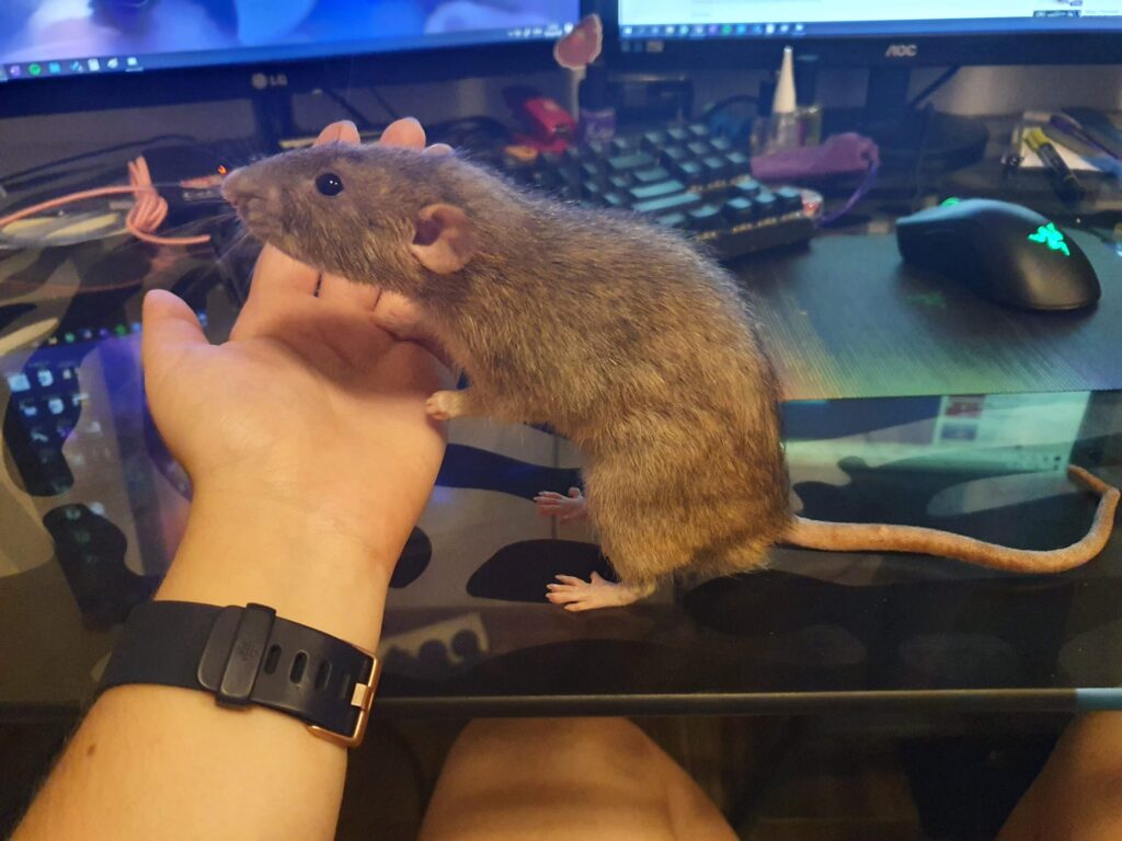 270836828_4873812539342402_6009435156749000445_n