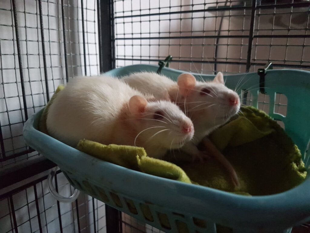 271049196_4873812402675749_513612085350288500_n