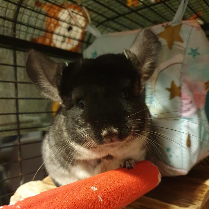 248986888_4655086171215041_3746894682669933838_n