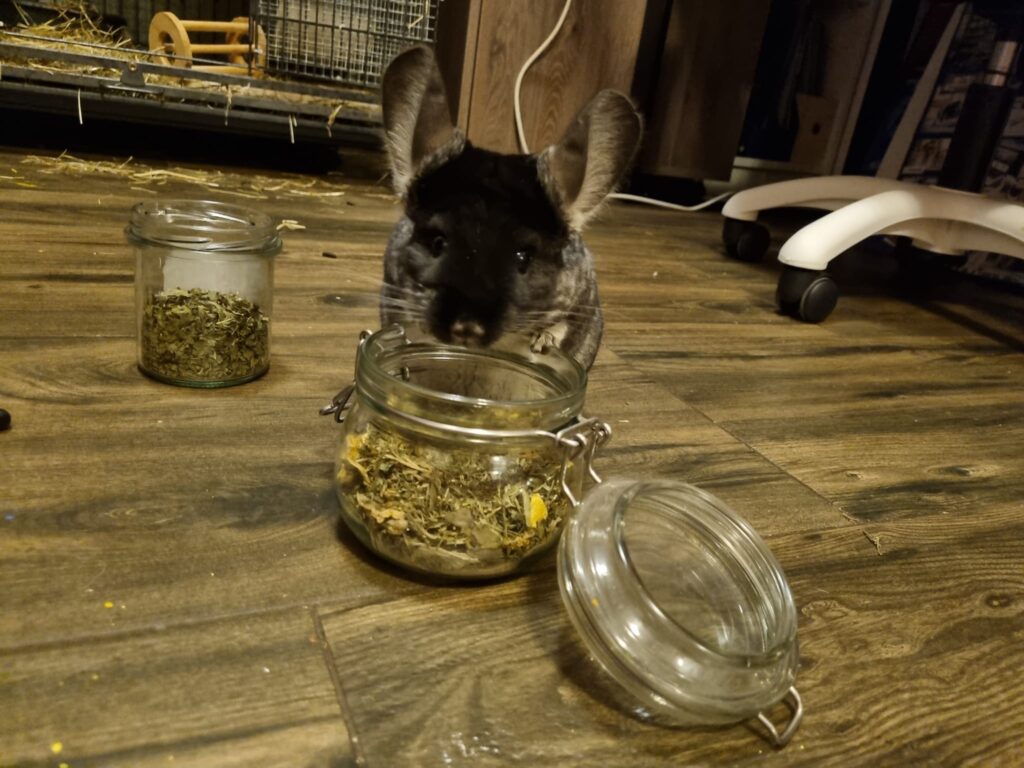 273368987_5007590815964573_7031109833573395772_n