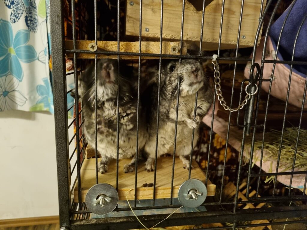 311603988_5729949887061992_6219275046536474311_n