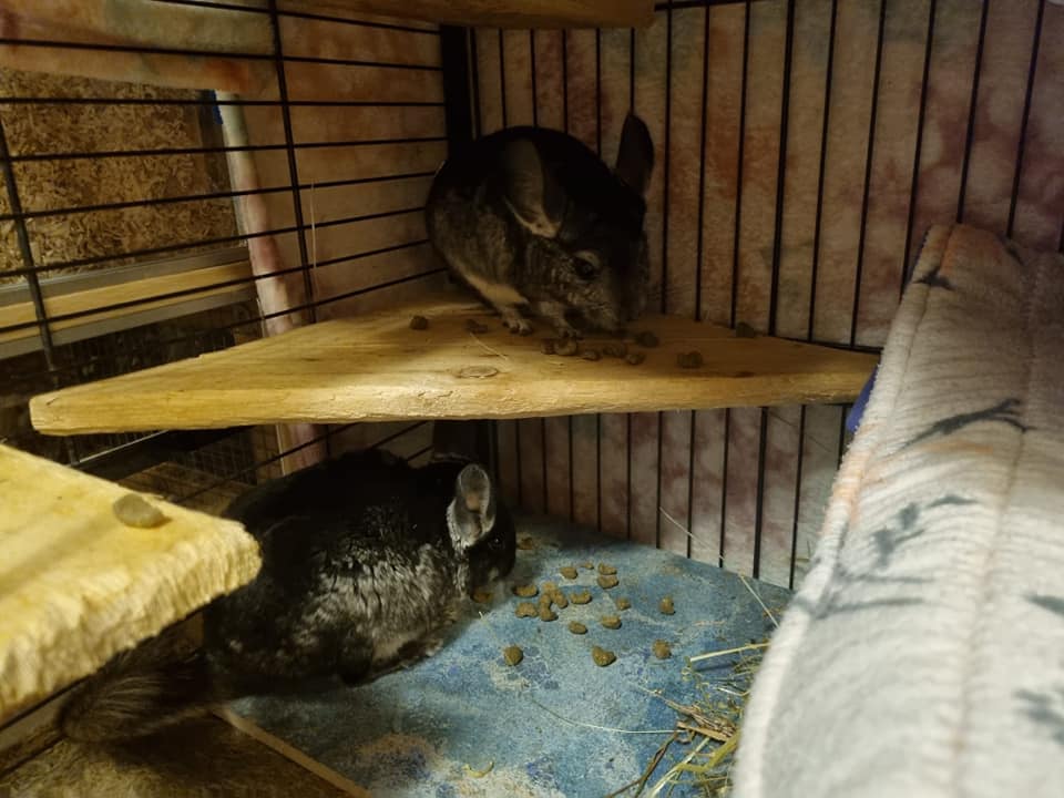 344766081_618028813524083_1489468321203177475_n