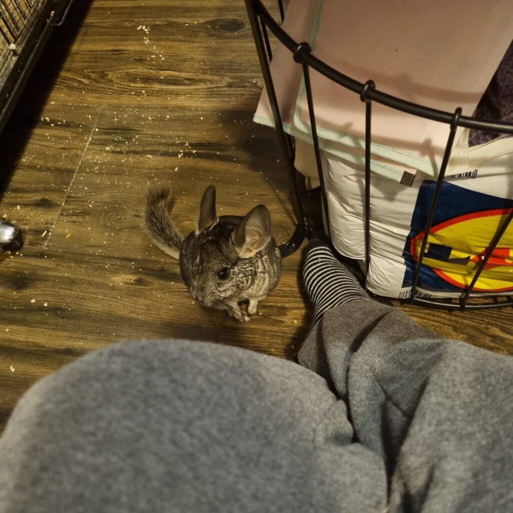 344799643_259257776602562_4353589078629821875_n