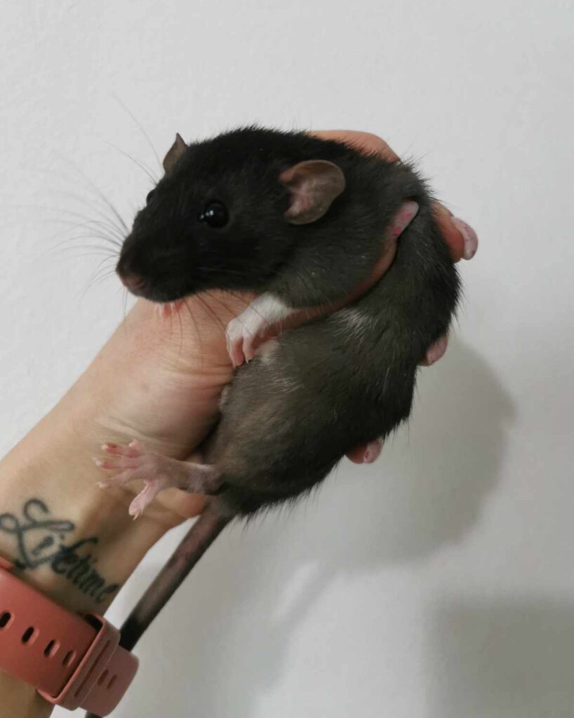 474776718_918582373767077_7333930993331138502_n