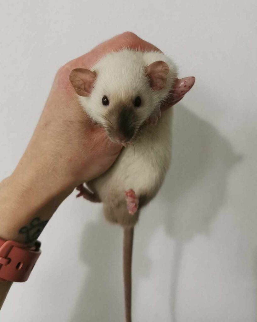 474883847_596528736575582_7190626078589497655_n