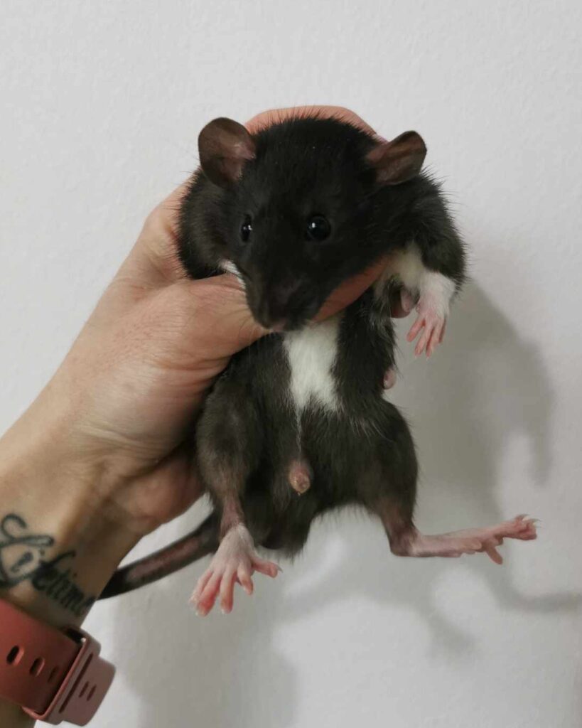 475129478_978059300900851_4588416591431646604_n