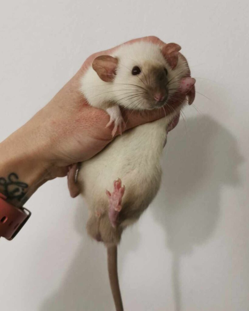 475147558_648294944525662_1943909658814884172_n