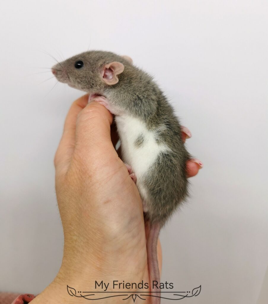 475377631_1144380527485425_2797872530570564713_n